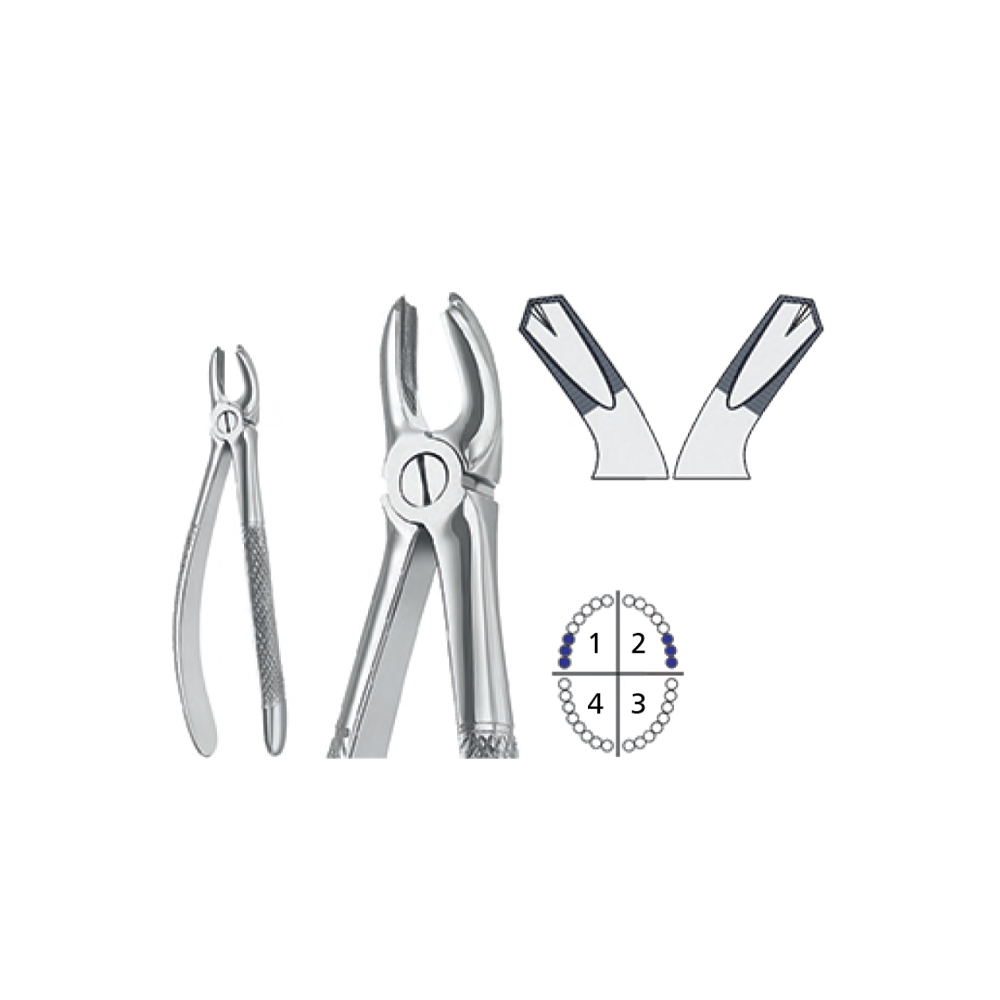 extracting-forceps-english-pattern2